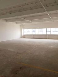 Perfect One (D13), Warehouse #547241711